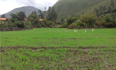 VENDO TERRENO 4980 M2 VALLE SAGRADO  YANAHUARA URUBAMBA CUSCO PERU