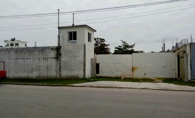 Patio de trabajo en Renta Calle 67, Colonia Playa Norte
