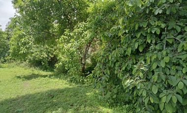 Terreno habitacional en venta la Palma Municipio de Totolapan Morelos.