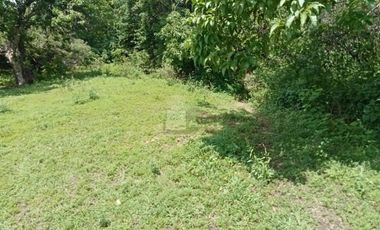 Terreno habitacional en venta la Palma Municipio de Totolapan Morelos.