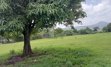 Terreno habitacional en venta la Palma Municipio de Totolapan Morelos.