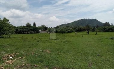 Terreno habitacional en venta la Palma Municipio de Totolapan Morelos.