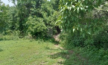 Terreno habitacional en venta la Palma Municipio de Totolapan Morelos.