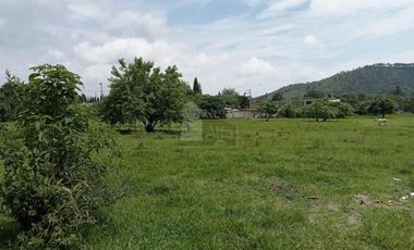 Terreno habitacional en venta la Palma Municipio de Totolapan Morelos.