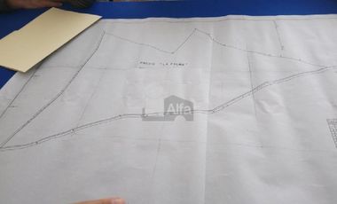 Terreno habitacional en venta la Palma Municipio de Totolapan Morelos.