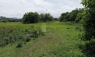 Terreno habitacional en venta la Palma Municipio de Totolapan Morelos.