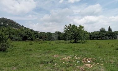 Terreno habitacional en venta la Palma Municipio de Totolapan Morelos.
