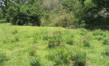Terreno habitacional en venta la Palma Municipio de Totolapan Morelos.