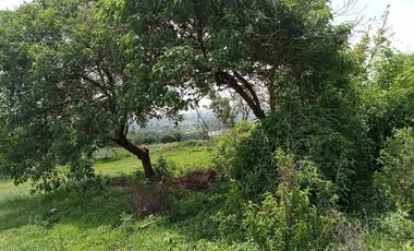 Terreno habitacional en venta la Palma Municipio de Totolapan Morelos.