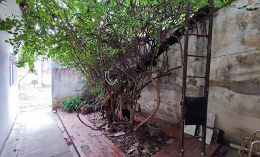 casa en venta en latino. Cod V28064