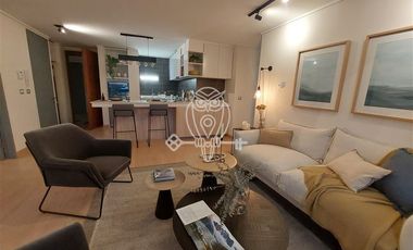 NUEVOS SIN COMISION 3D 2B Roof Top Privado en Providencia