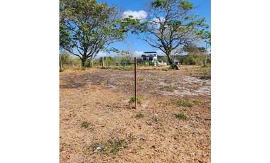 Se vende Terreno en frente a la Playa Malibu de 1,300 mts $350K