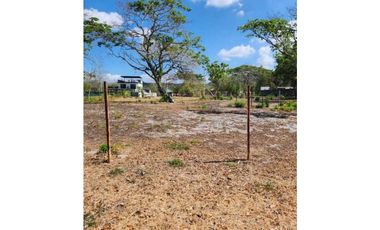 Se vende Terreno en frente a la Playa Malibu de 1,300 mts $350K