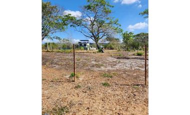 Se vende Terreno en frente a la Playa Malibu de 1,300 mts $350K