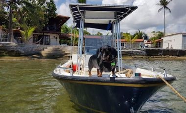 Se vende casa frente al mar, Colón, Viento Frío