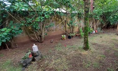 Se vende casa frente al mar, Colón, Viento Frío