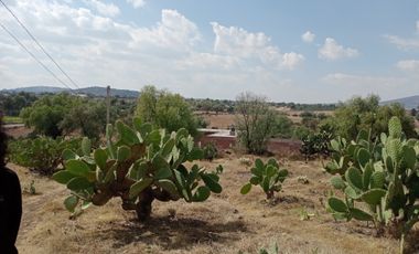 VENTA EN SAN JUAN DE TEACALCO POBLADO MUNICIPIO DE TEMASCALAPA, VENTA DE TERRENO DE 15.7 HECTAREAS 157,000 METROS O TERRENOS DE 2 HECTAREAS