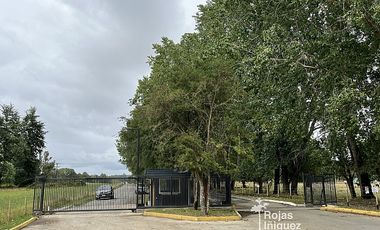 OSORNO CAMINO PUYEHUE