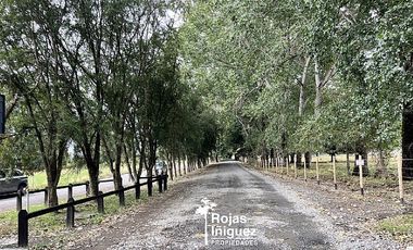 OSORNO CAMINO PUYEHUE