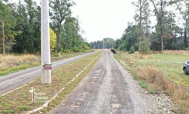 OSORNO CAMINO PUYEHUE
