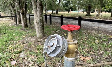 OSORNO CAMINO PUYEHUE