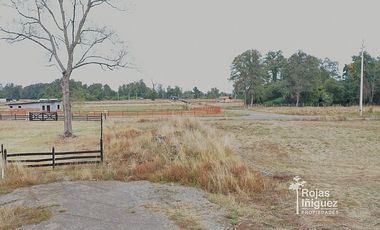 OSORNO CAMINO PUYEHUE