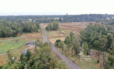 OSORNO CAMINO PUYEHUE