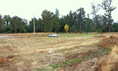 OSORNO CAMINO PUYEHUE