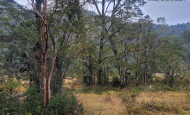 Parcela en Venta en Puelo Bajo