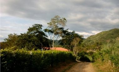 Maat Vende FINCA en vereda Mave, Villeta 18.000m2 $800 Millones