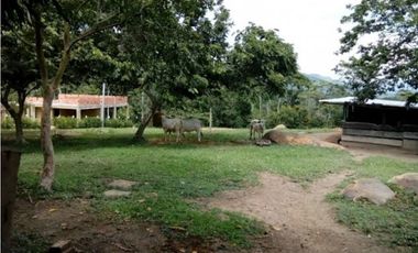 Maat Vende FINCA en vereda Mave, Villeta 18.000m2 $800 Millones
