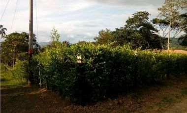 Maat Vende FINCA en vereda Mave, Villeta 18.000m2 $800 Millones