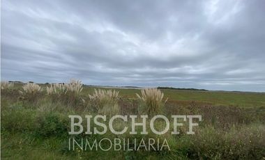 VENTA DE  FRACCION PARAJE TIO DOMINGO GRAL  MADARIAGA
