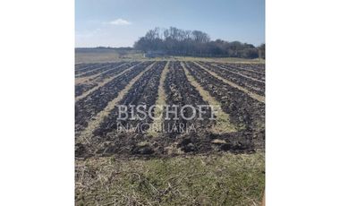 VENTA DE  FRACCION PARAJE TIO DOMINGO GRAL  MADARIAGA