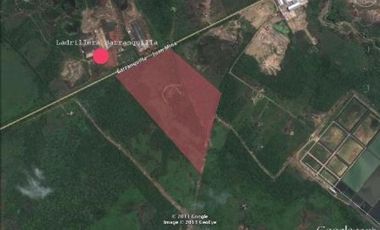 lote en venta en juan mina. Cod V60560