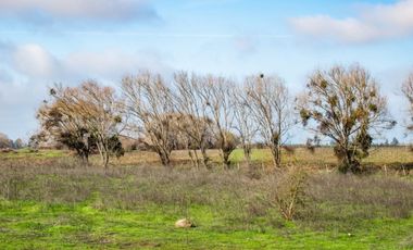 Comprar Parcela de Terreno en San Rafael, Provincia de Talca