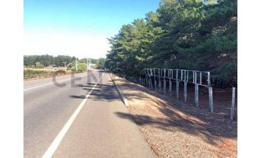 GRAN TERRENO PRIMERA LÍNEA PUNTA DE LOBOS