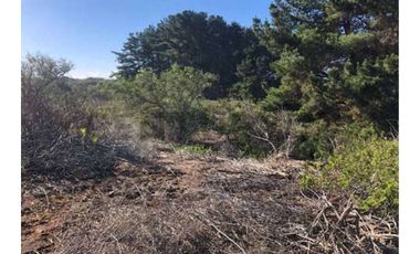 GRAN TERRENO PRIMERA LÍNEA PUNTA DE LOBOS