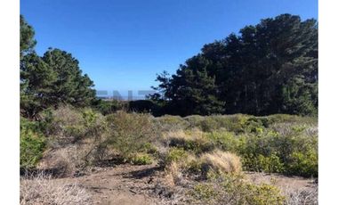 GRAN TERRENO PRIMERA LÍNEA PUNTA DE LOBOS