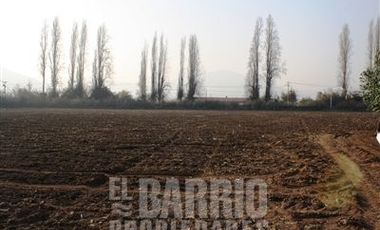 Sitio en Arriendo en Liray/ Lo Pinto