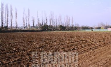 Sitio en Arriendo en Liray/ Lo Pinto
