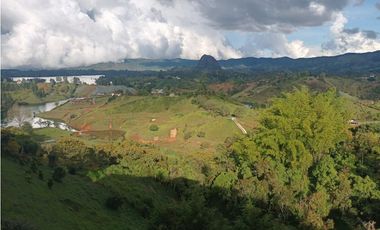 Finca En El Peñol Vereda El Morro
