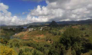 Finca En El Peñol Vereda El Morro