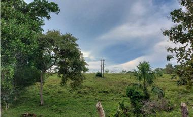VENTA DE FINCA EN MONTERIA, CORDOBA