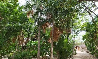 Venta de terreno, Tipo Campestre, con cabañas y casa, Valladolid, ,Yuc