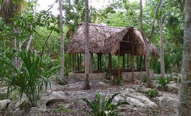 Venta de terreno, Tipo Campestre, con cabañas y casa, Valladolid, ,Yuc