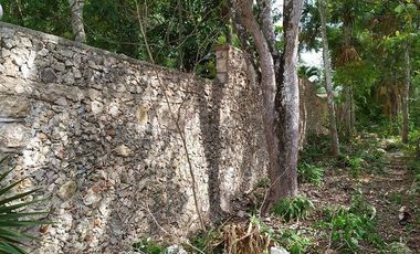 Venta de terreno, Tipo Campestre, con cabañas y casa, Valladolid, ,Yuc
