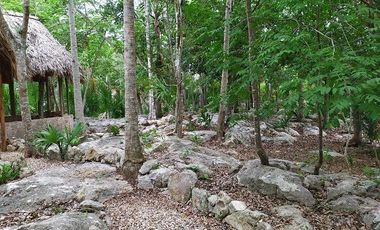 Venta de terreno, Tipo Campestre, con cabañas y casa, Valladolid, ,Yuc