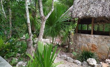 Venta de terreno, Tipo Campestre, con cabañas y casa, Valladolid, ,Yuc