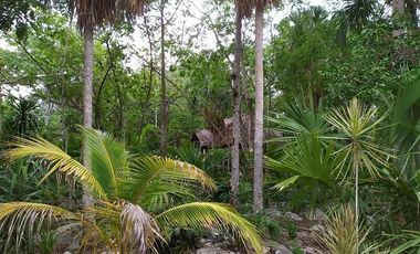 Venta de terreno, Tipo Campestre, con cabañas y casa, Valladolid, ,Yuc